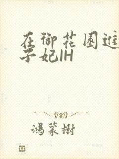 在御花园进入太子妃IH