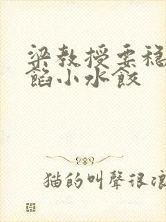 梁教授要稳住肉馅小水饺