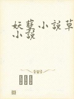 妖孽小说草莓酱小说