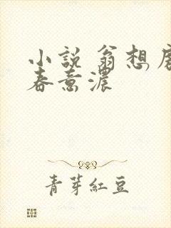 小说 翁想房中春意浓