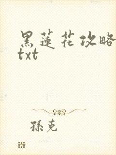 黑莲花攻略手册txt