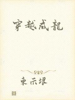 穿越成龙