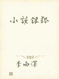 小说银狐