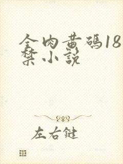 全肉黄码18无禁小说