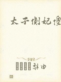 太子侧妃傻乎乎