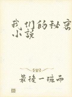 我们的秘密泰剧小说