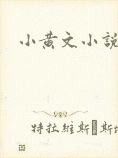 小黄文小说