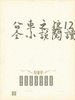 公车之狼12集全小说阅读