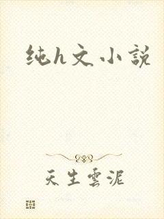 纯h文小说