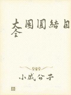 大团圆结目录大全