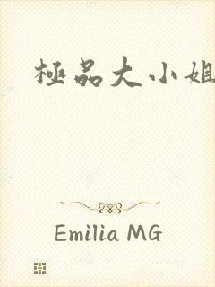 《极品大小姐》小说封面