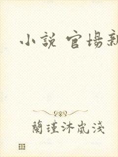 小说 官场新贵