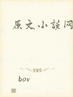 原文小说网