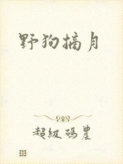 野狗摘月