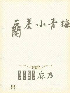 反差小青梅笔趣阁