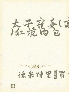 太子宠妾(高肉)红烧肉包
