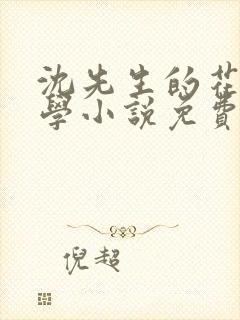 沈先生的花式教学小说免费