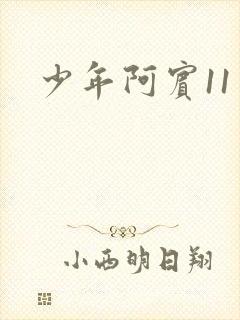 少年阿宾11
