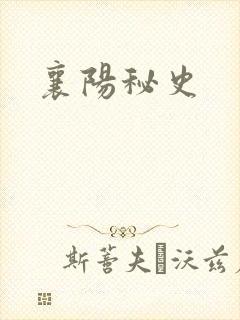 襄阳秘史