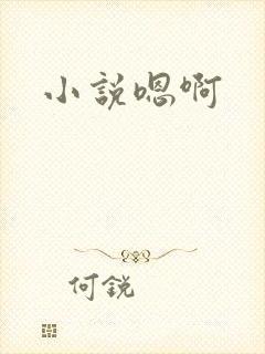 小说嗯啊