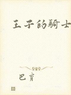 王子的骑士小说