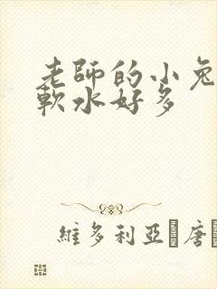 老师的小兔子好软水好多