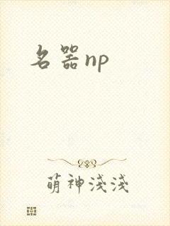 名器np