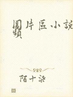 图片区小说区视频