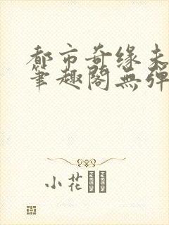 都市奇缘未删节笔趣阁无弹窗封面