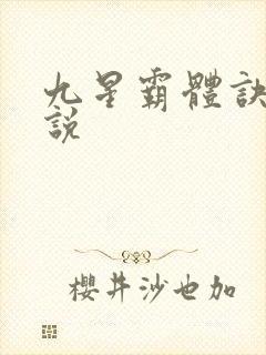 九星霸体诀 小说