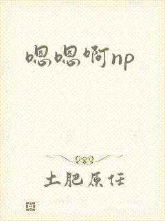 嗯嗯啊np
