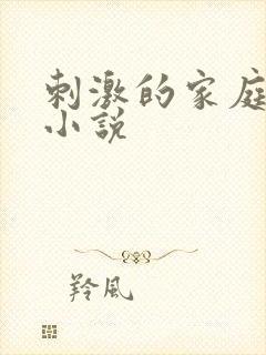 刺激的家庭乱仑小说