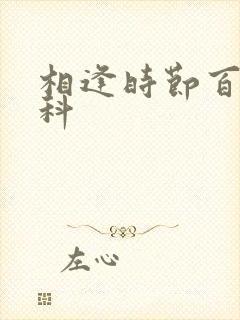 相逢时节百度百科