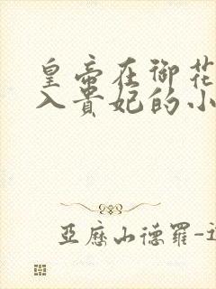 皇帝在御花园进入贵妃的小说