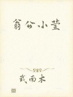 翁公小莹