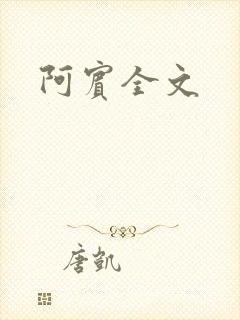 阿宾全文