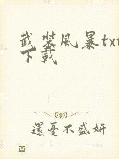 武装风暴txt下载