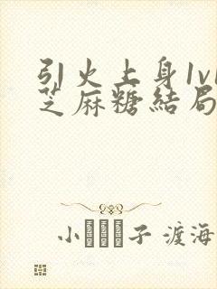 引火上身1v1芝麻糖结局