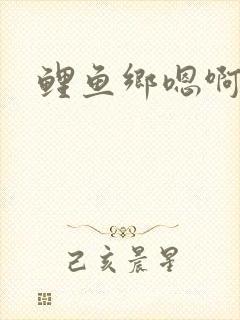 鲤鱼乡嗯啊