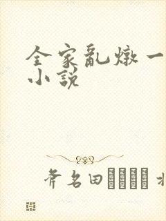 全家乱炖一锅烩小说