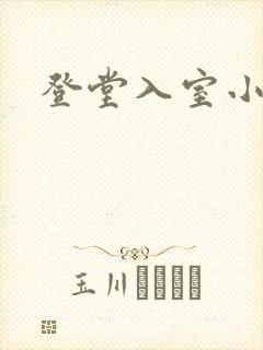 登堂入室小说