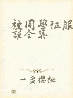 被同学征服的小说全集