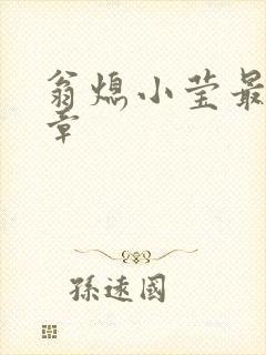 翁熄小莹最新节章