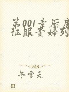 第001章厨房征服贵妇列静