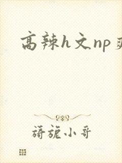 高辣h文np爽