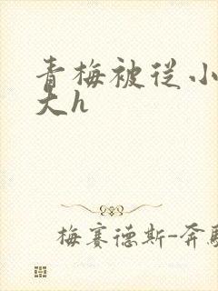 青梅被从小摸到大h