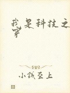 我是科技之光快穿封面