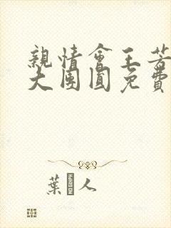 亲情会王芳高敏大团圆免费阅读