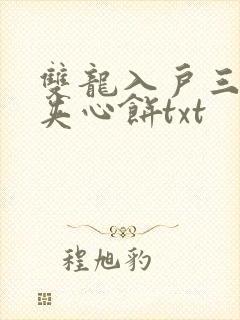 双龙入户三人行夹心饼txt