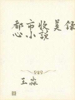 都市收美录宁素心小说